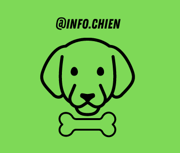 infoschienn-fr.preview-domain.com
