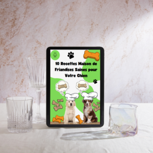 10 Recettes Maison de Friandise Saines pour votre chien