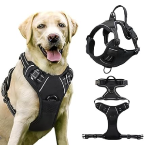 Harnais pour Chien Anti Traction