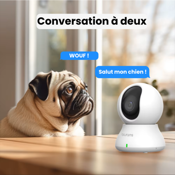 Caméra de Surveillance pour Animaux – Image 2