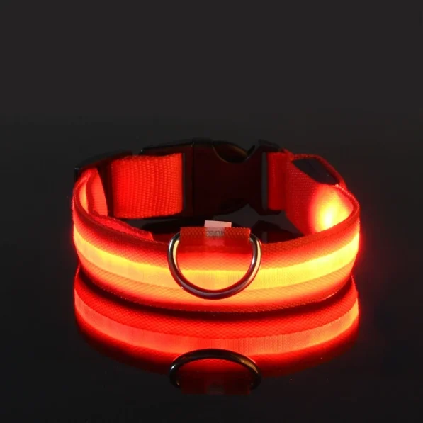 Collier pour chien éclairé – Image 4
