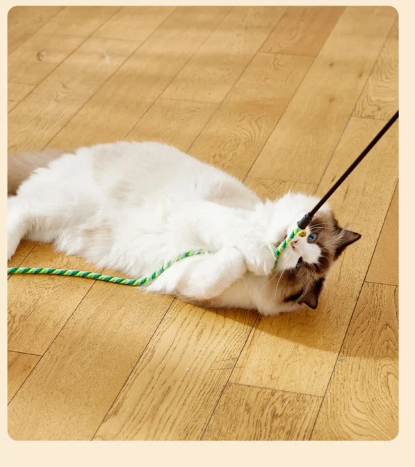 Jouet Interactif pour Chat – Image 7