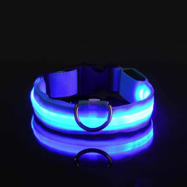 Collier pour chien éclairé – Image 5