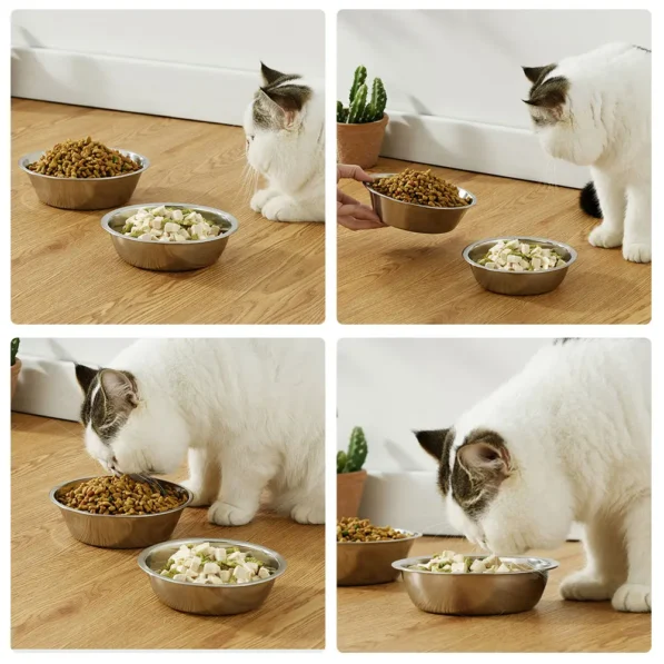 Gamelle pour chien et chat – Image 2
