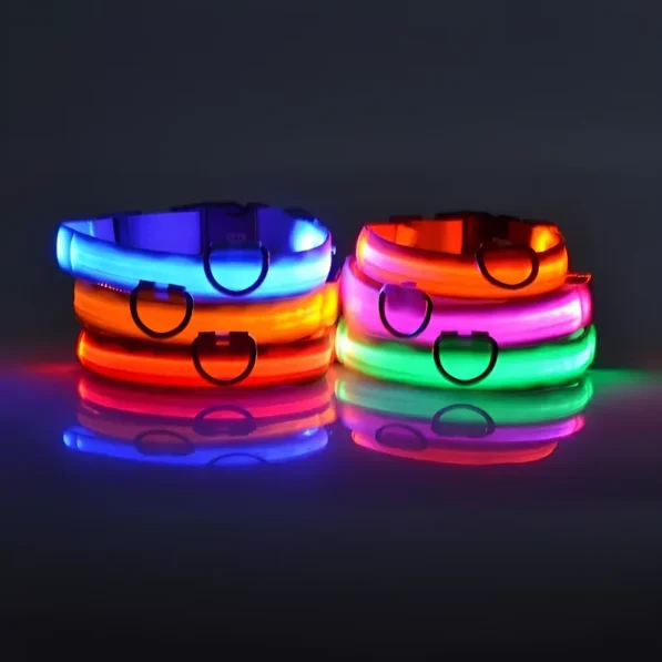 Collier pour chien éclairé – Image 2