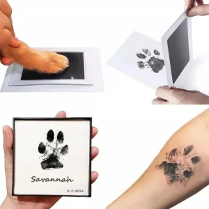 Kit d’encre pour empreinte de patte