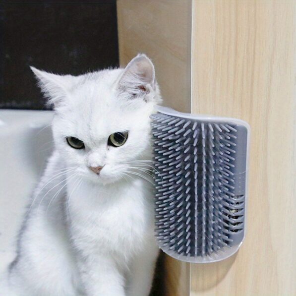 Grattoir pour chat – Image 3