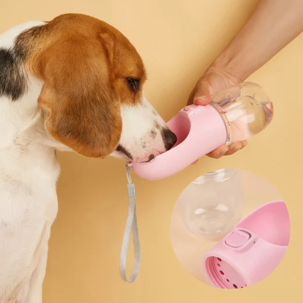 Gourde Portable pour Chien et Chat
