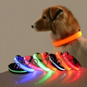 Collier pour chien éclairé