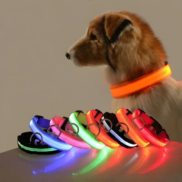 Collier pour chien éclairé