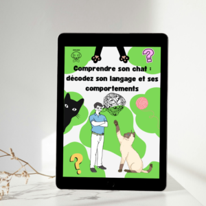 Comprendre son chat décodez son langage et ses comportements
