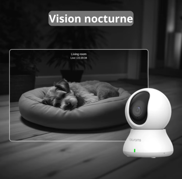 Caméra de Surveillance pour Animaux – Image 5